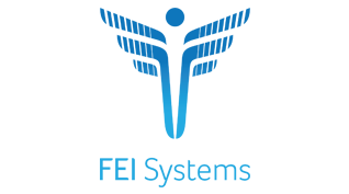 FEI Systems Logo